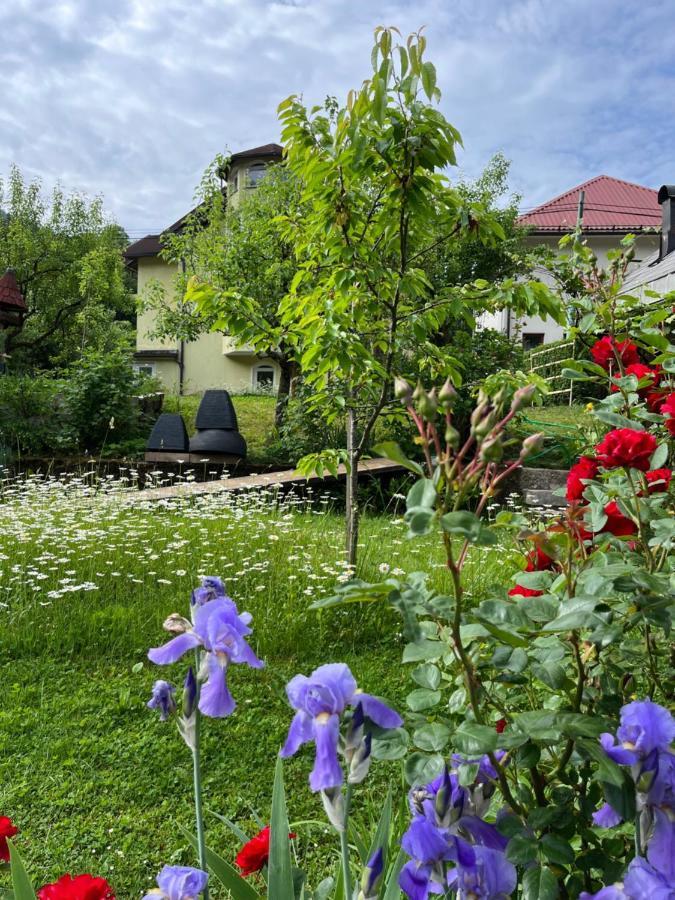 Riverside Villa Avo - Apartment Martin Spodnja Idrija Exterior foto